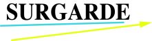 Logo Surgarde